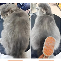 Pet Grooming Steam Brush- 4 in 1